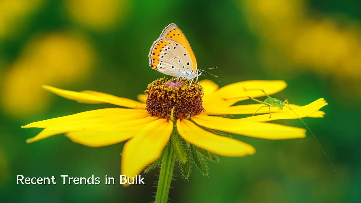 Recent Trends in Bulk