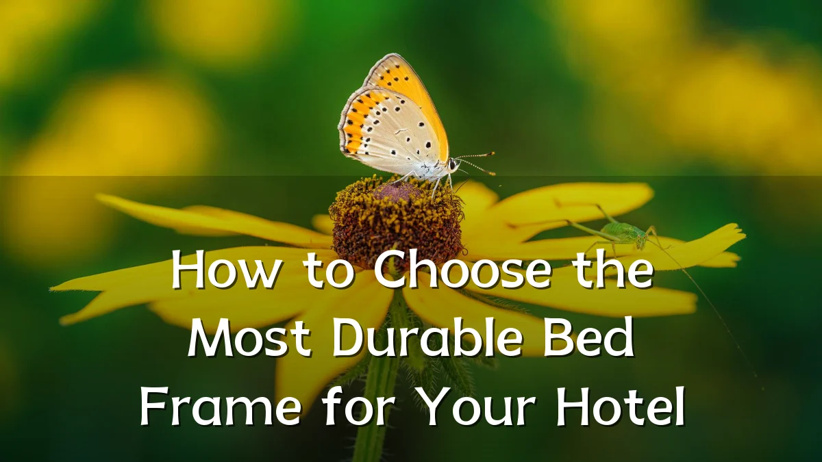 How to Choose the Most Durable Bed Frame for Your Hotel