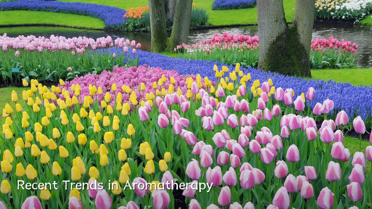 Recent Trends in Aromatherapy