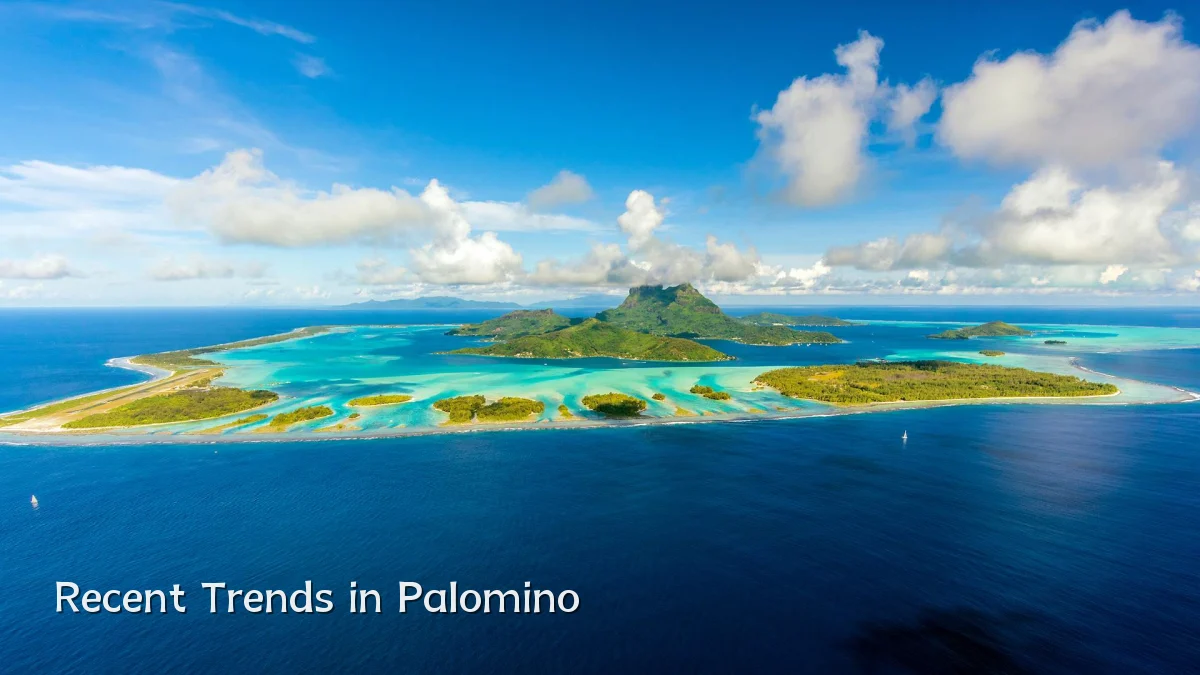 Recent Trends in Palomino