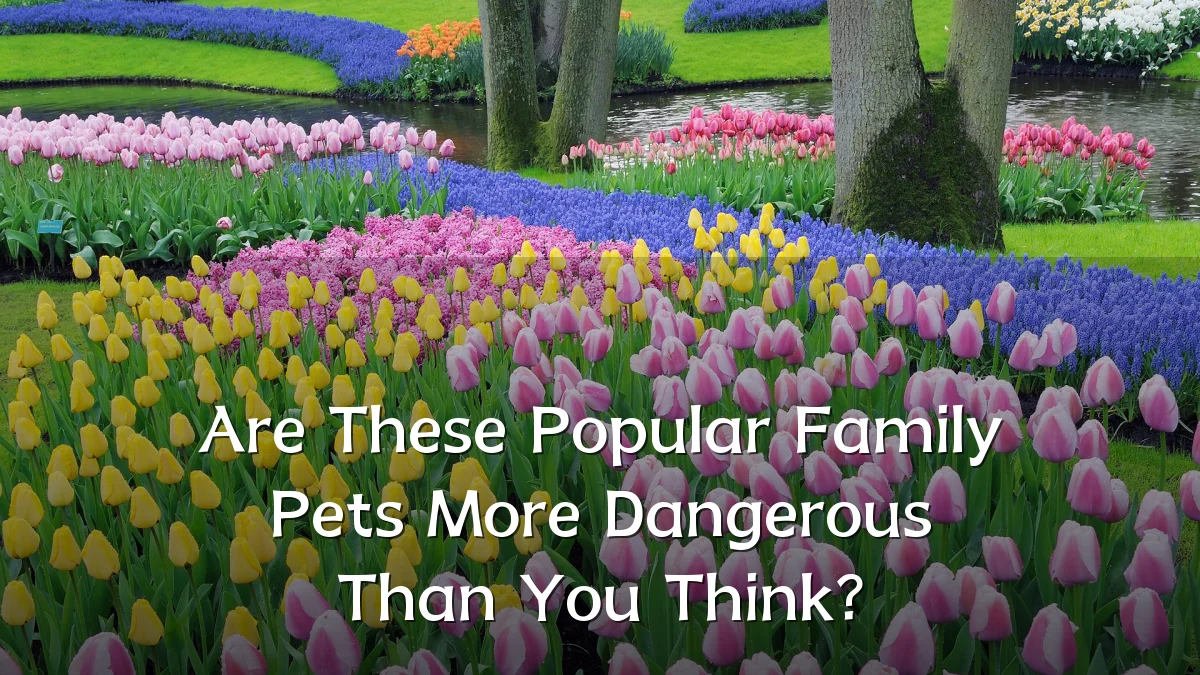 Are These Popular Family Pets More Dangerous Than You Think?