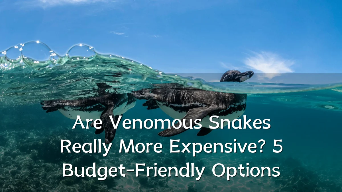 Are Venomous Snakes Really More Expensive? 5 Budget-Friendly Options