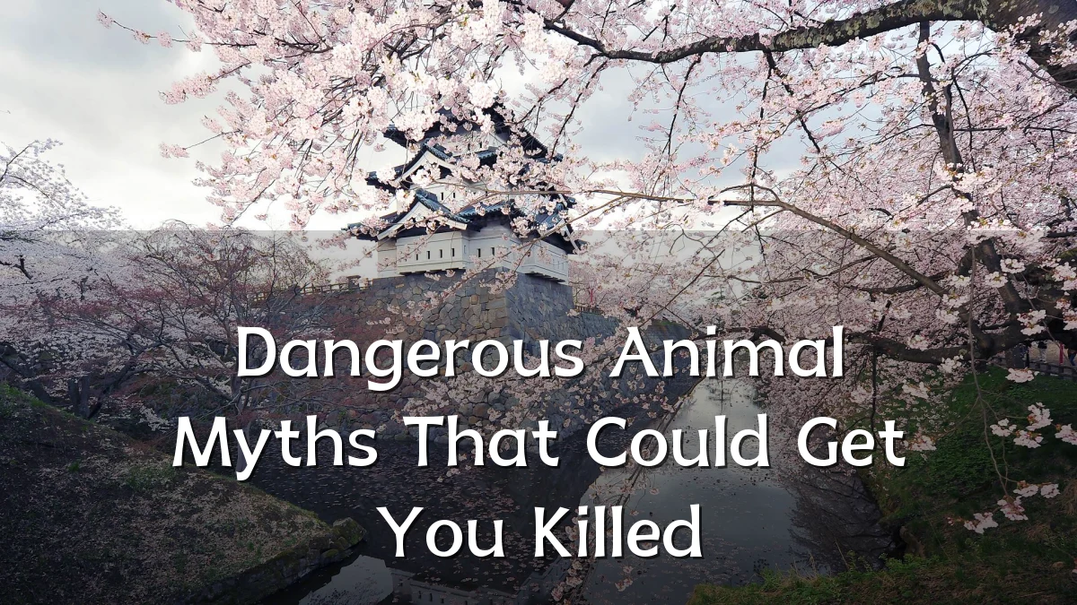 Dangerous Animal Myths That Could Get You Killed