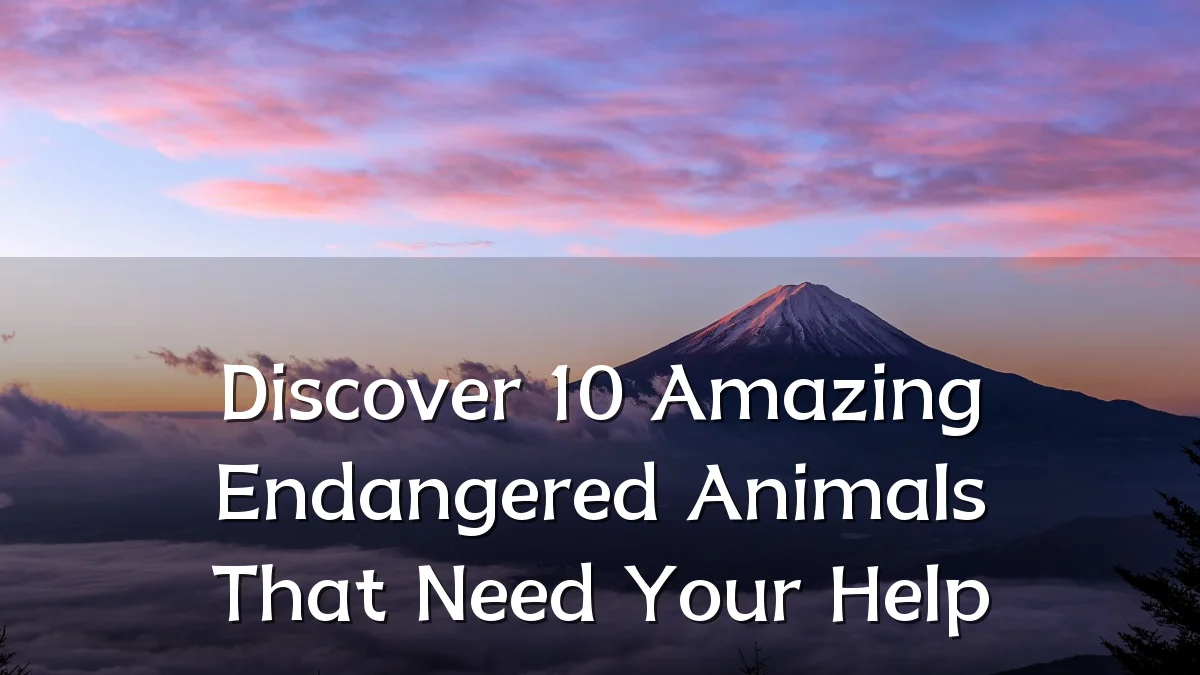 Discover 10 Amazing Endangered Animals That Need Your Help