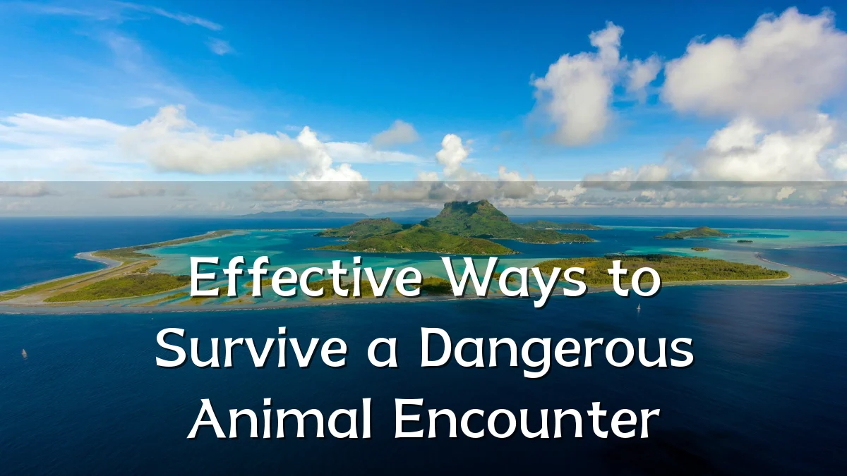 Effective Ways to Survive a Dangerous Animal Encounter