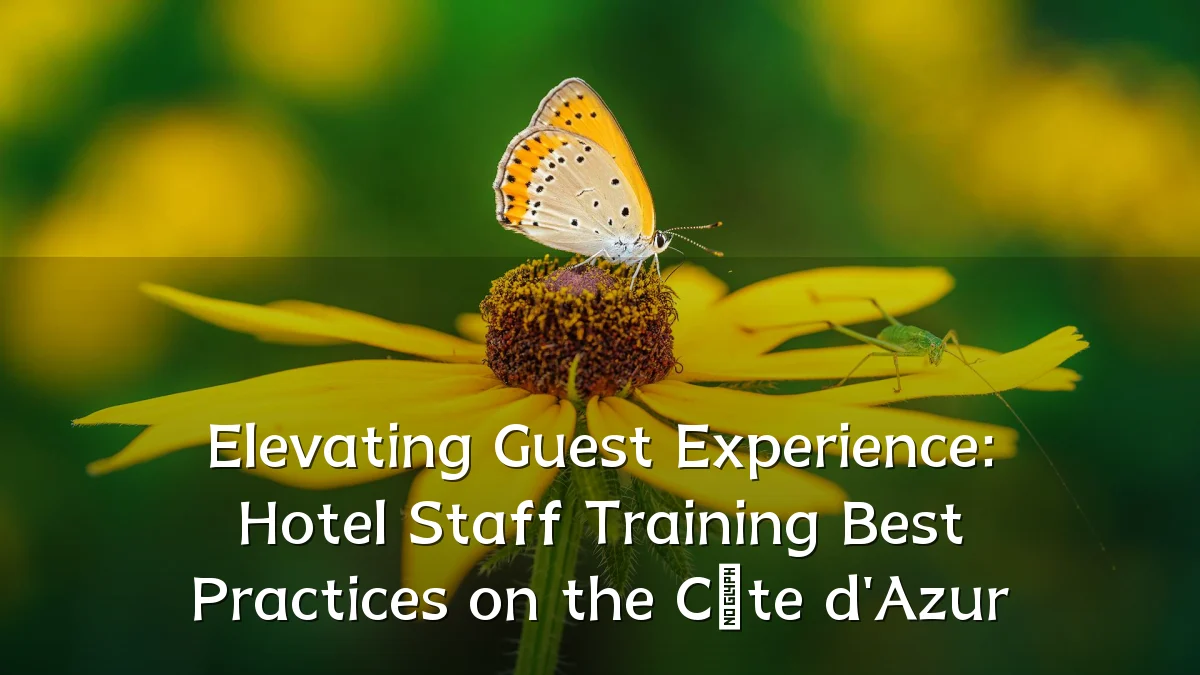 Elevating Guest Experience: Hotel Staff Training Best Practices on the Côte d'Azur