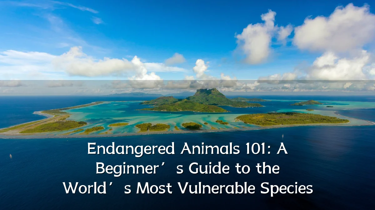 Endangered Animals 101: A Beginner’s Guide to the World’s Most Vulnerable Species