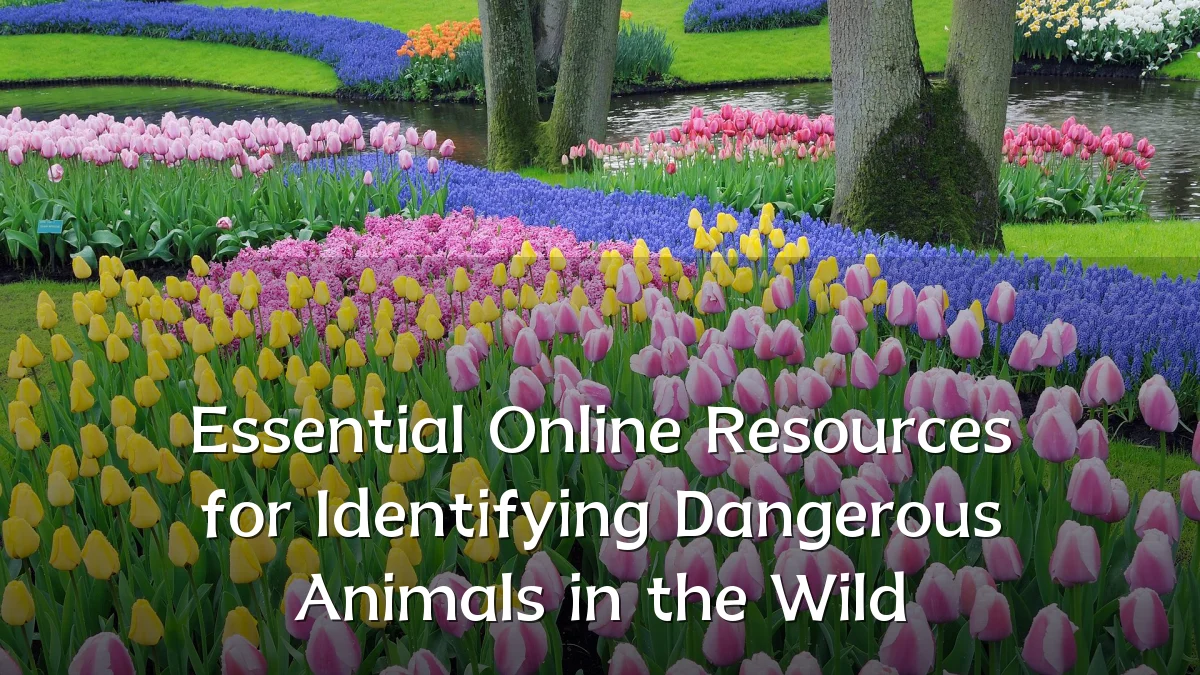 Essential Online Resources for Identifying Dangerous Animals in the Wild