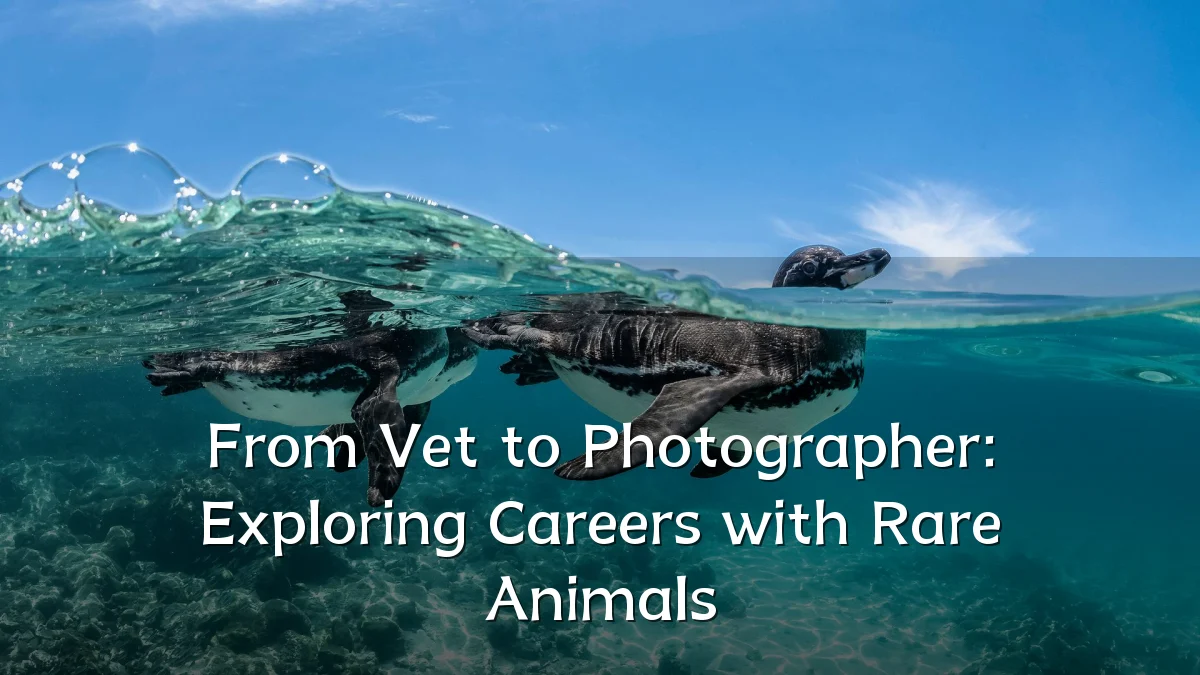 From Vet to Photographer: Exploring Careers with Rare Animals