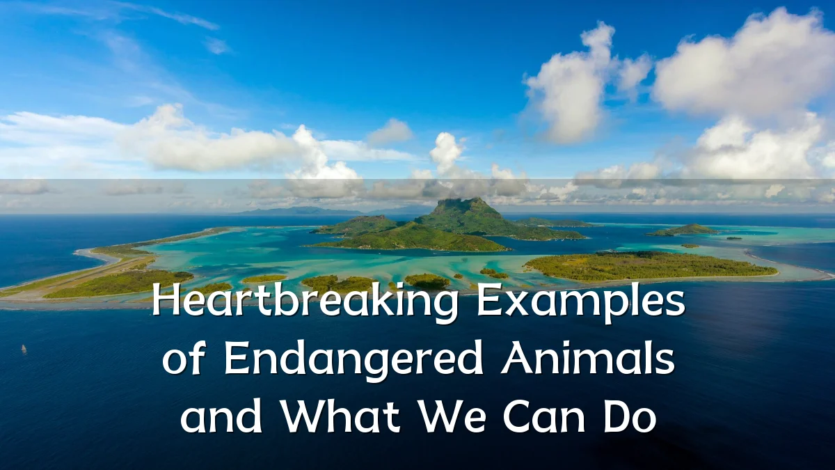 Heartbreaking Examples of Endangered Animals and What We Can Do
