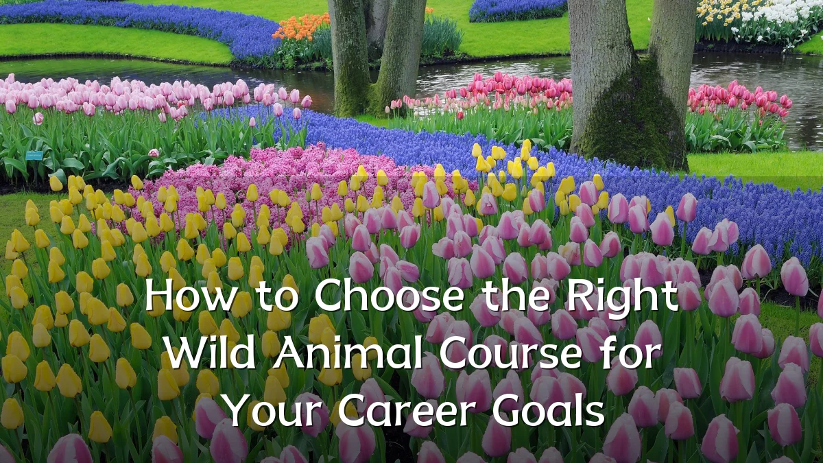 How to Choose the Right Wild Animal Course for Your Career Goals
