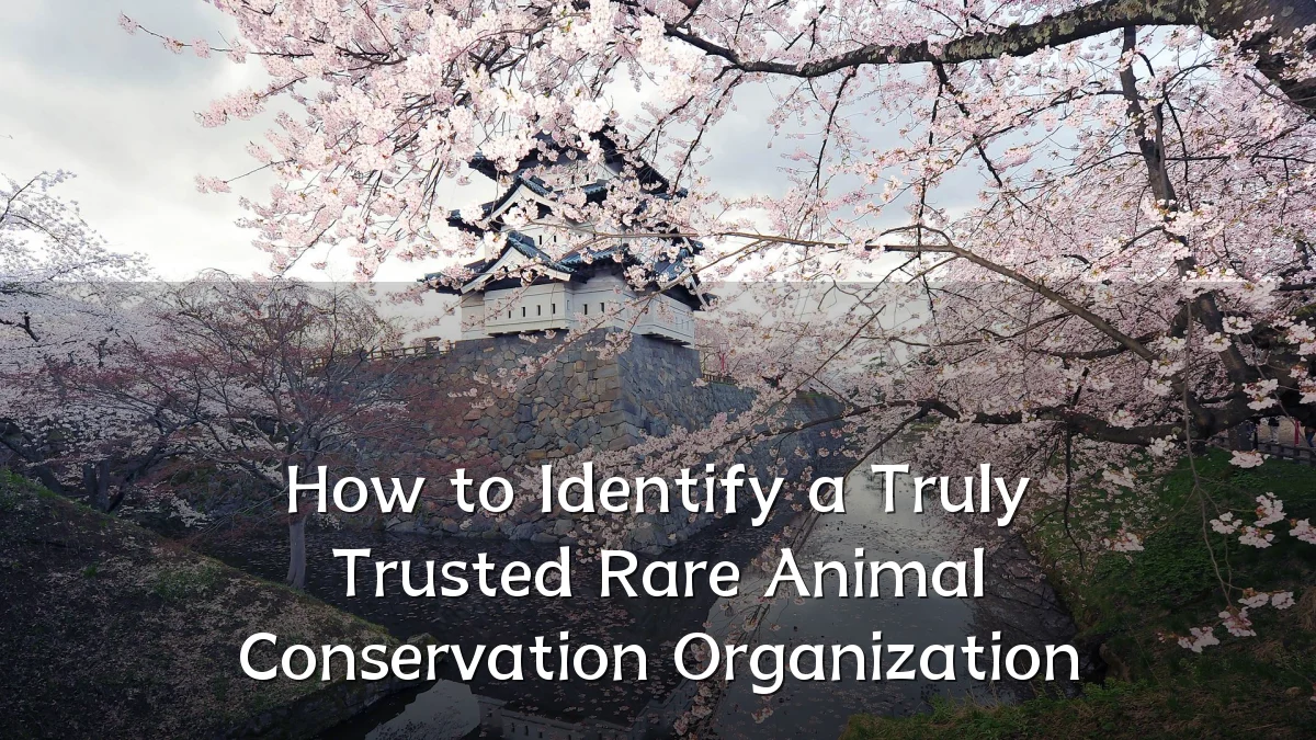 How to Identify a Truly Trusted Rare Animal Conservation Organization