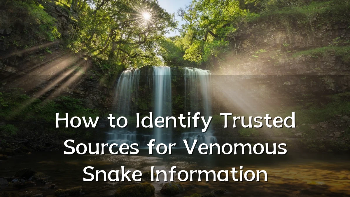 How to Identify Trusted Sources for Venomous Snake Information