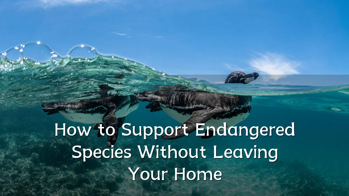 How to Support Endangered Species Without Leaving Your Home