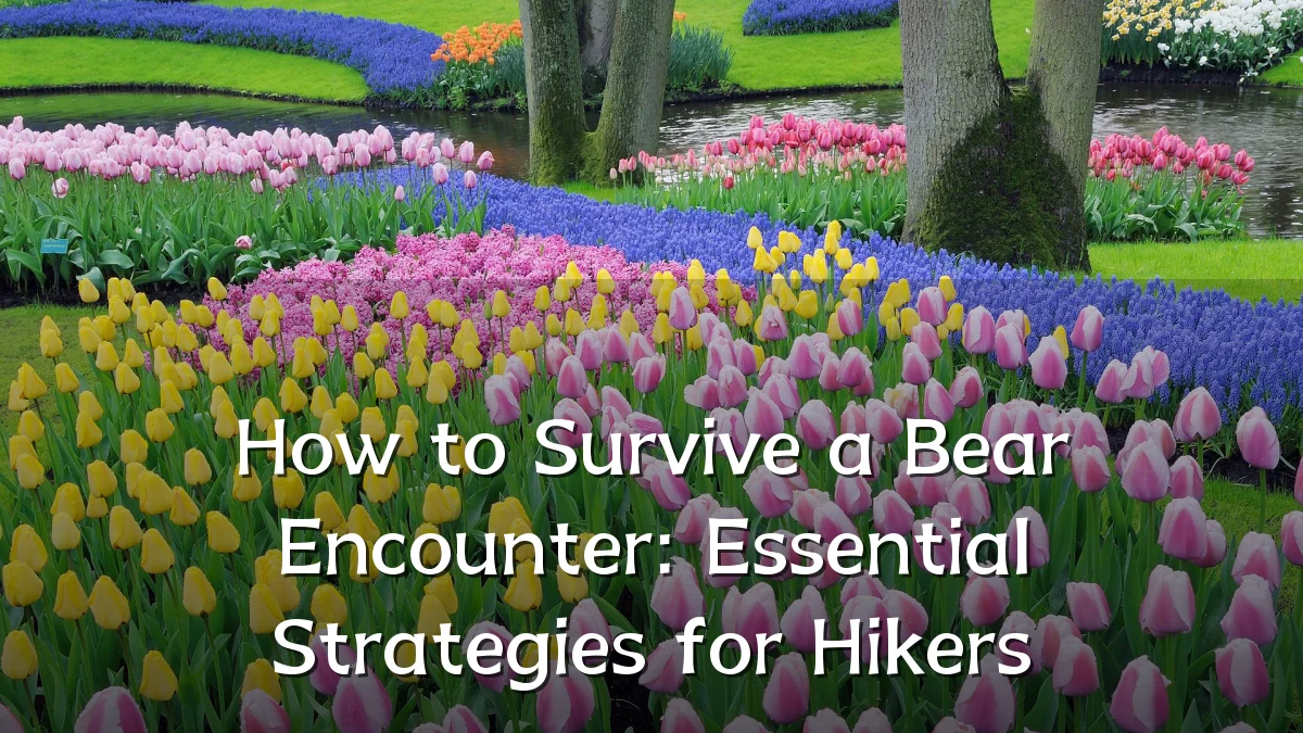 How to Survive a Bear Encounter: Essential Strategies for Hikers