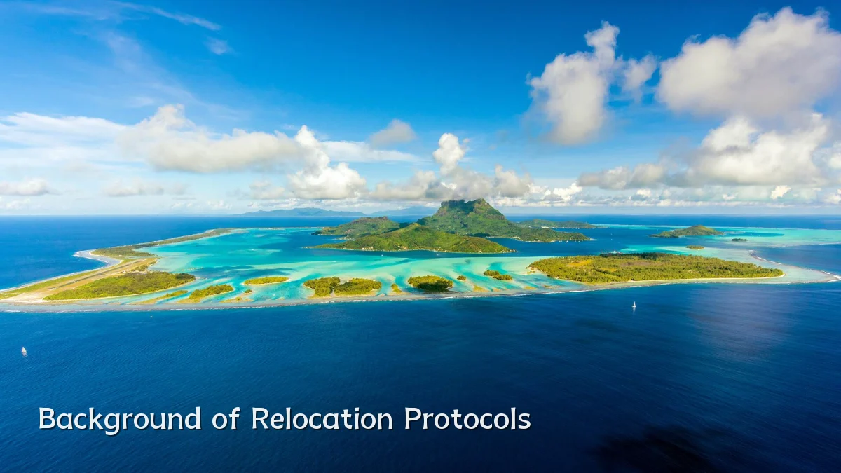Background of Relocation Protocols