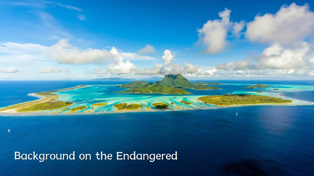 Background on the Endangered