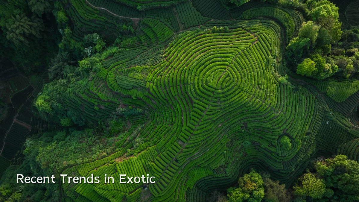 Recent Trends in Exotic