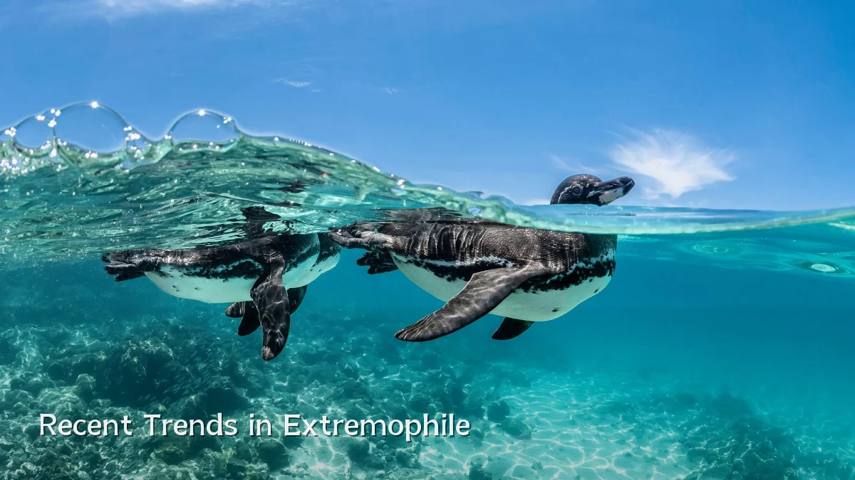 Recent Trends in Extremophile