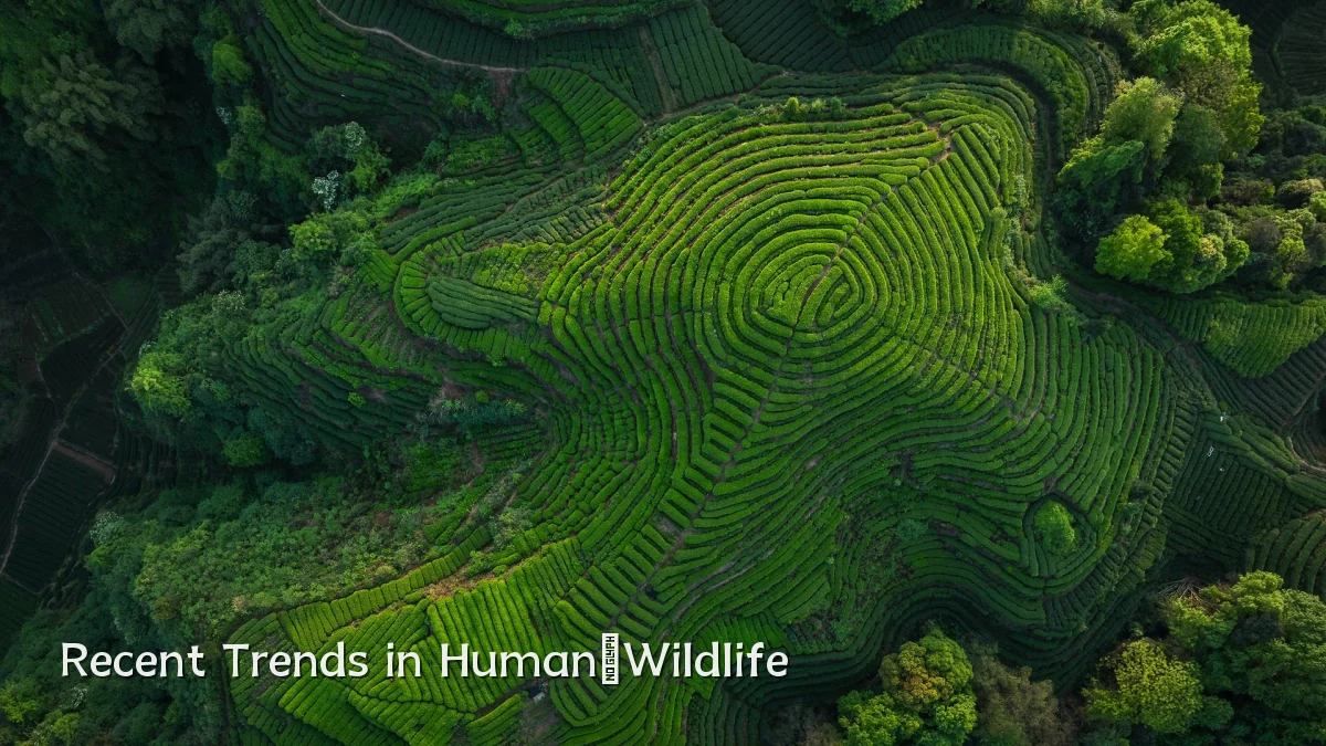 Recent Trends in Human‑Wildlife