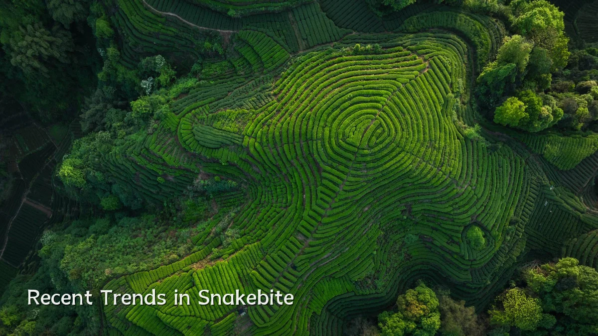 Recent Trends in Snakebite