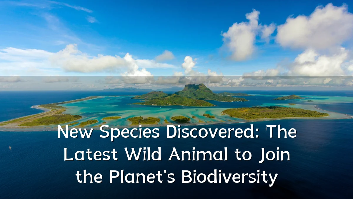New Species Discovered: The Latest Wild Animal to Join the Planet's Biodiversity