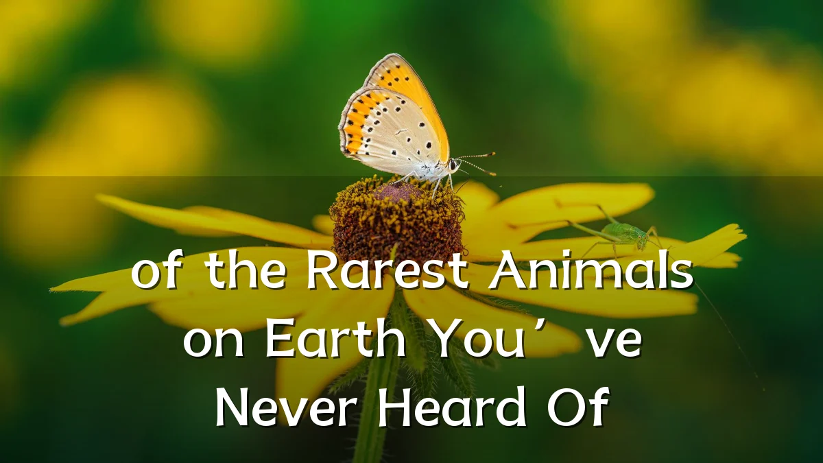 of the Rarest Animals on Earth You’ve Never Heard Of
