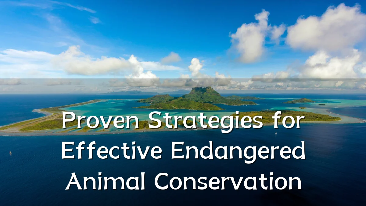 Proven Strategies for Effective Endangered Animal Conservation