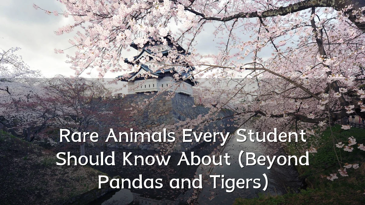 Rare Animals Every Student Should Know About (Beyond Pandas and Tigers)