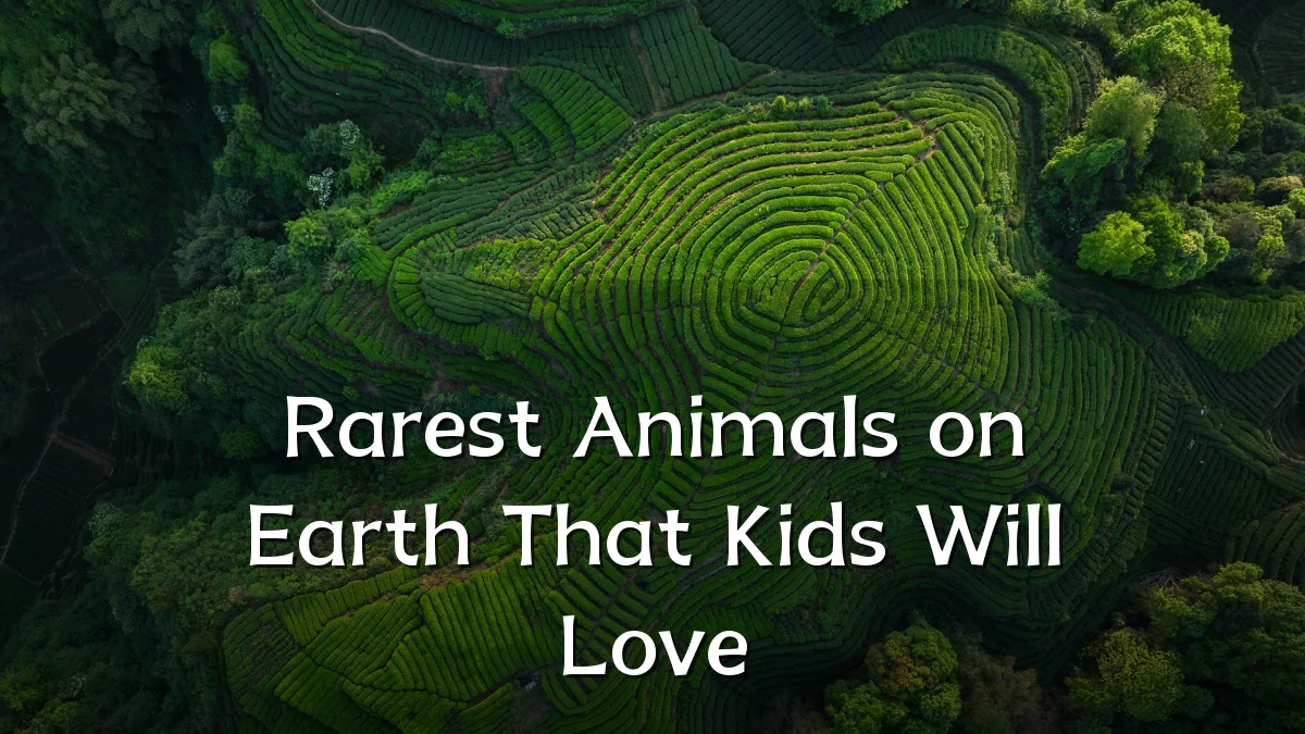 Rarest Animals on Earth That Kids Will Love