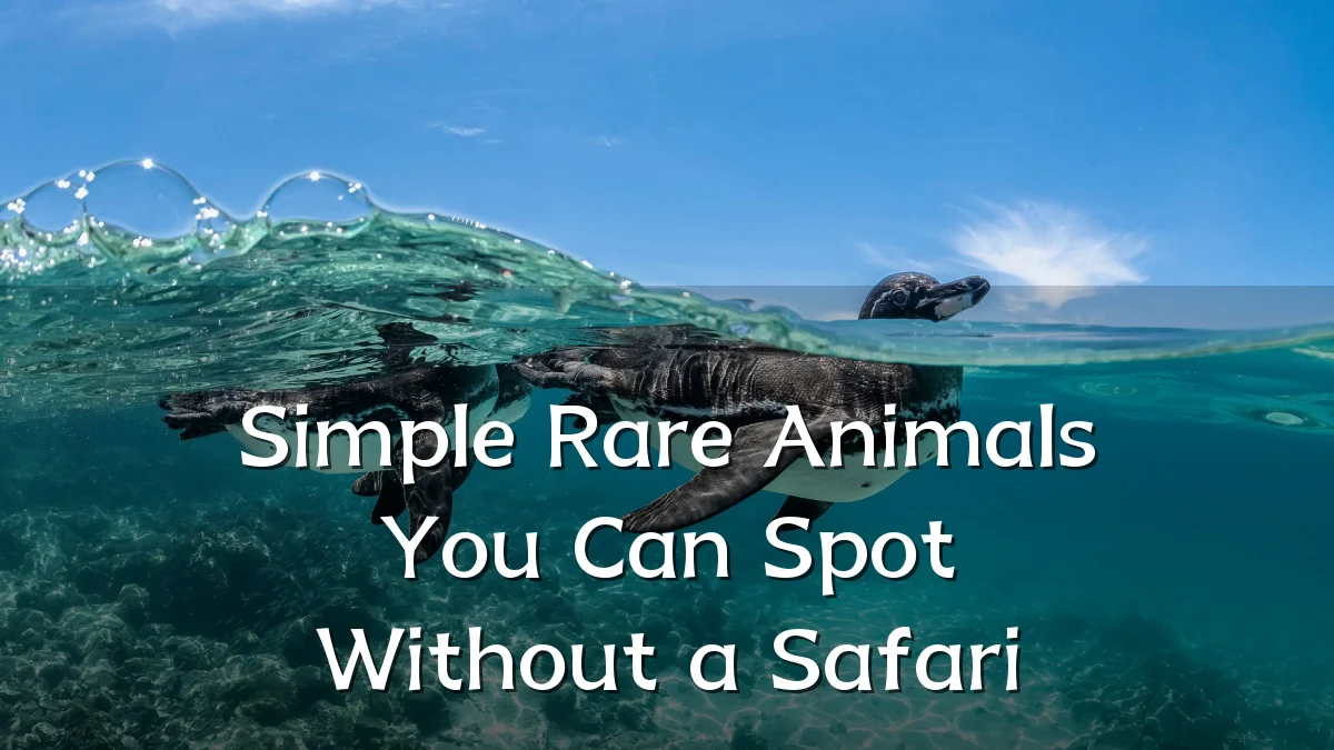 Simple Rare Animals You Can Spot Without a Safari