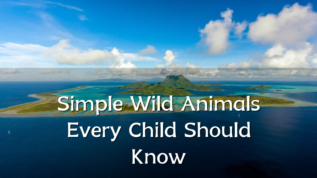 Simple Wild Animals Every Child Should Know