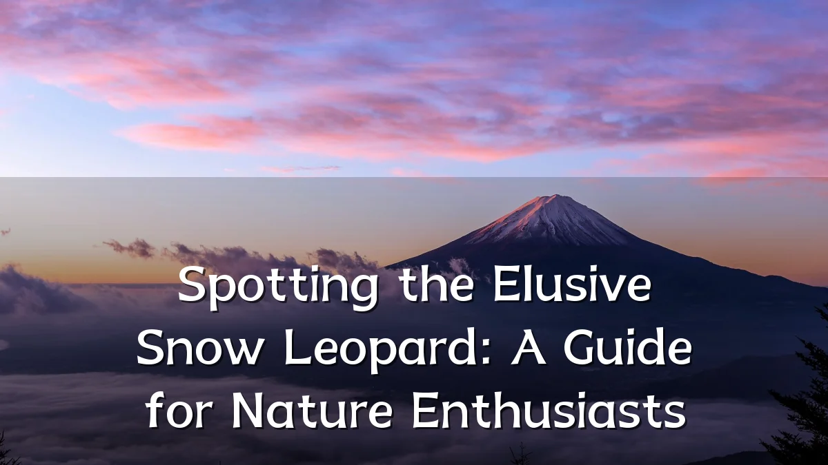Spotting the Elusive Snow Leopard: A Guide for Nature Enthusiasts
