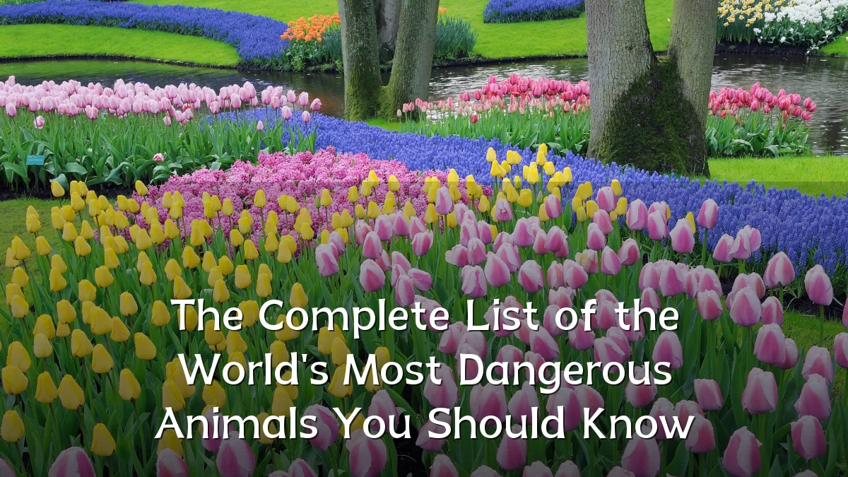 The Complete List of the World's Most Dangerous Animals You Should Know