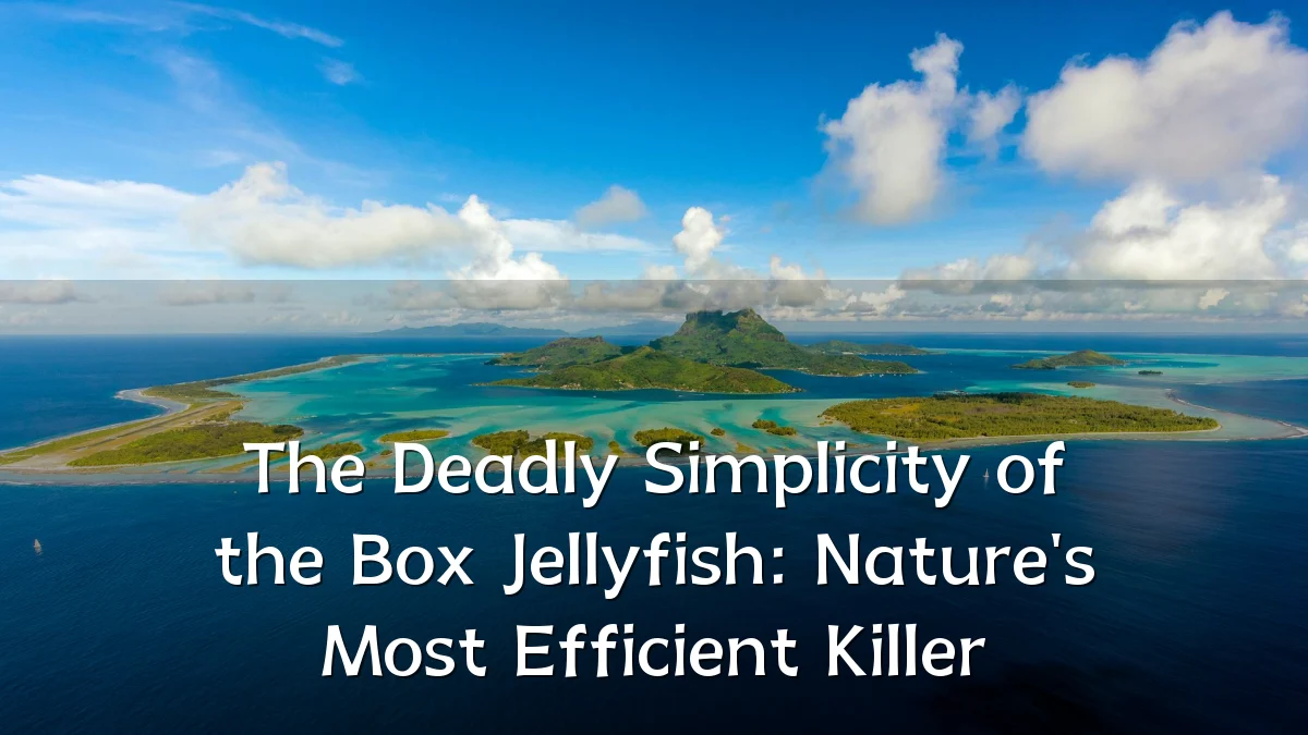 The Deadly Simplicity of the Box Jellyfish: Nature's Most Efficient Killer