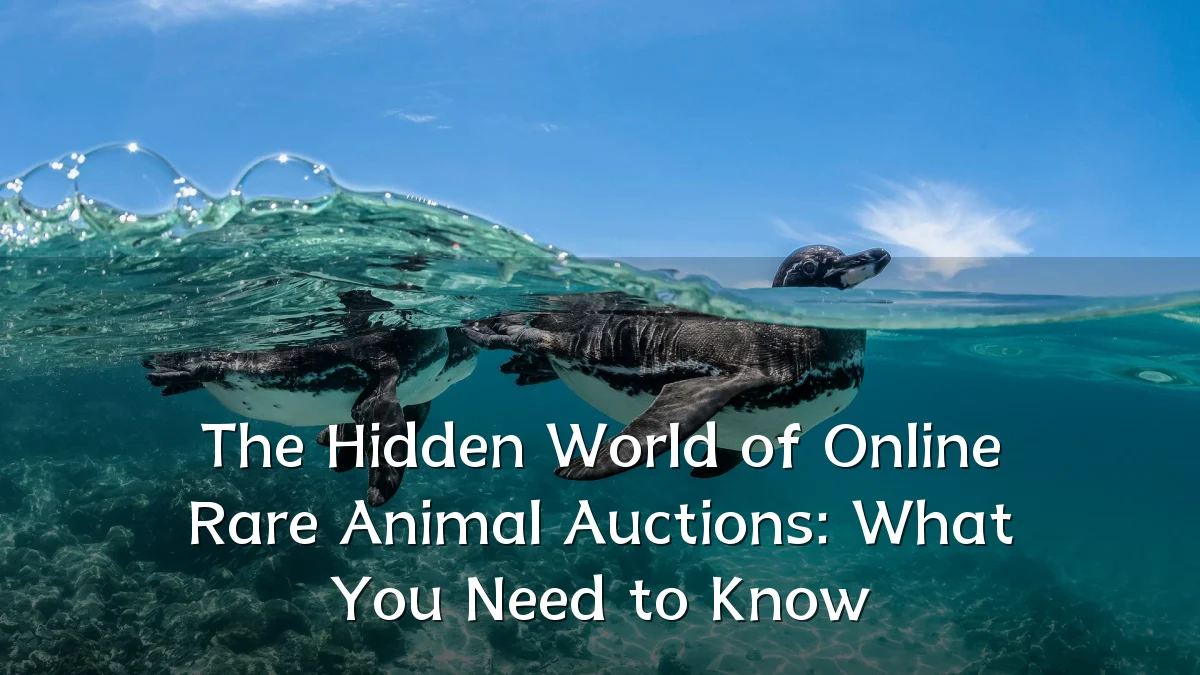The Hidden World of Online Rare Animal Auctions: What You Need to Know