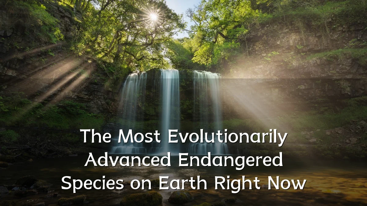 The Most Evolutionarily Advanced Endangered Species on Earth Right Now