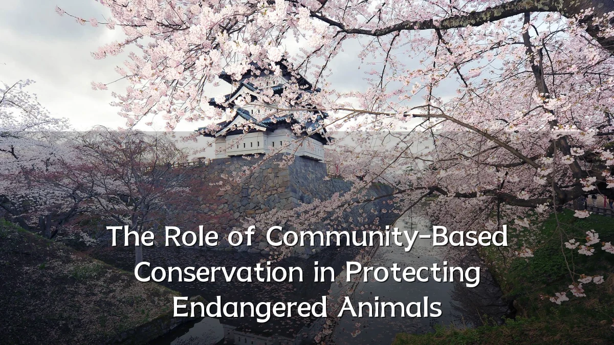 The Role of Community-Based Conservation in Protecting Endangered Animals