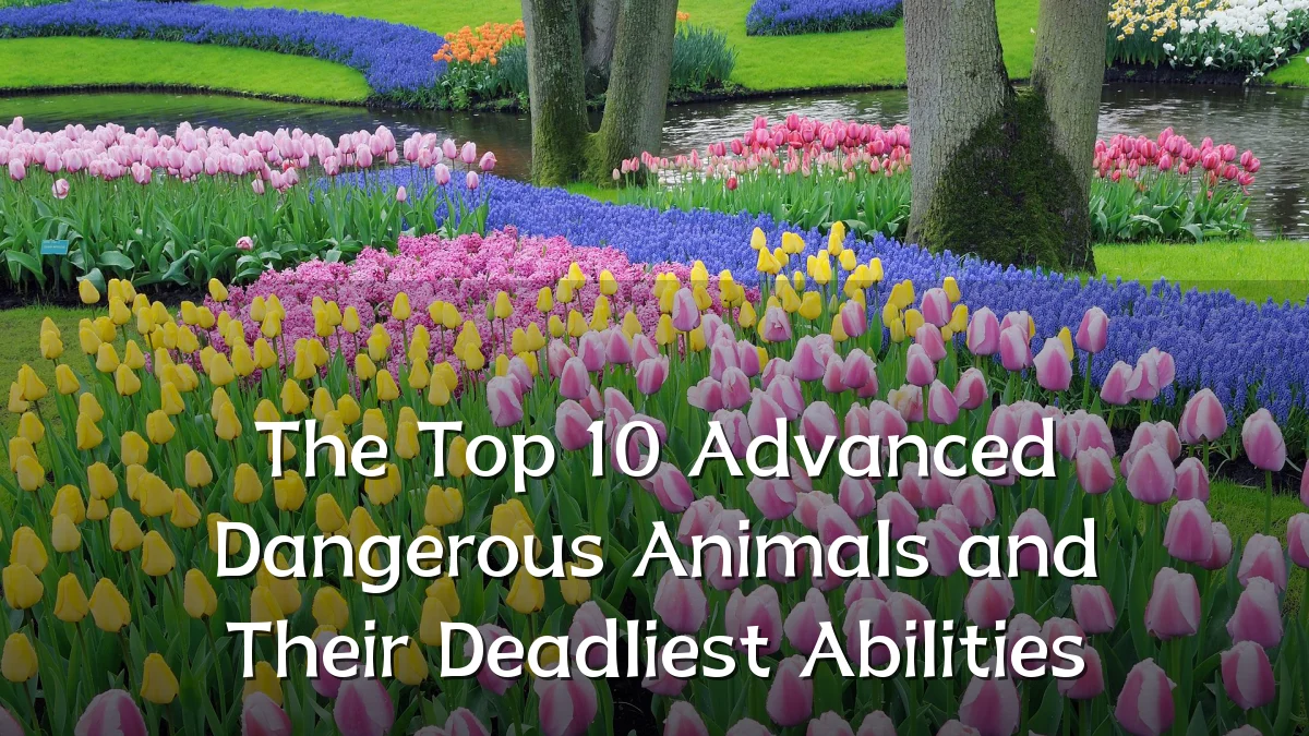 The Top 10 Advanced Dangerous Animals and Their Deadliest Abilities