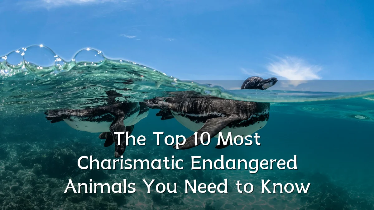 The Top 10 Most Charismatic Endangered Animals You Need to Know