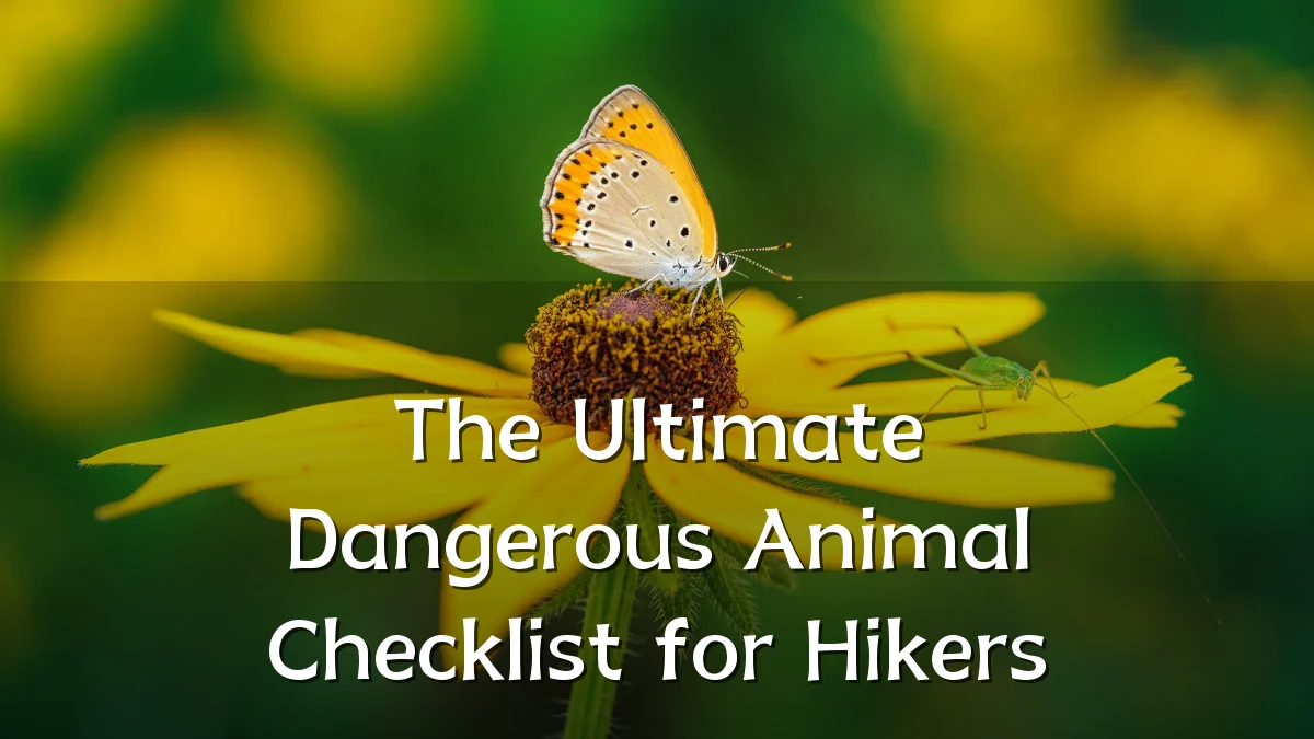 The Ultimate Dangerous Animal Checklist for Hikers