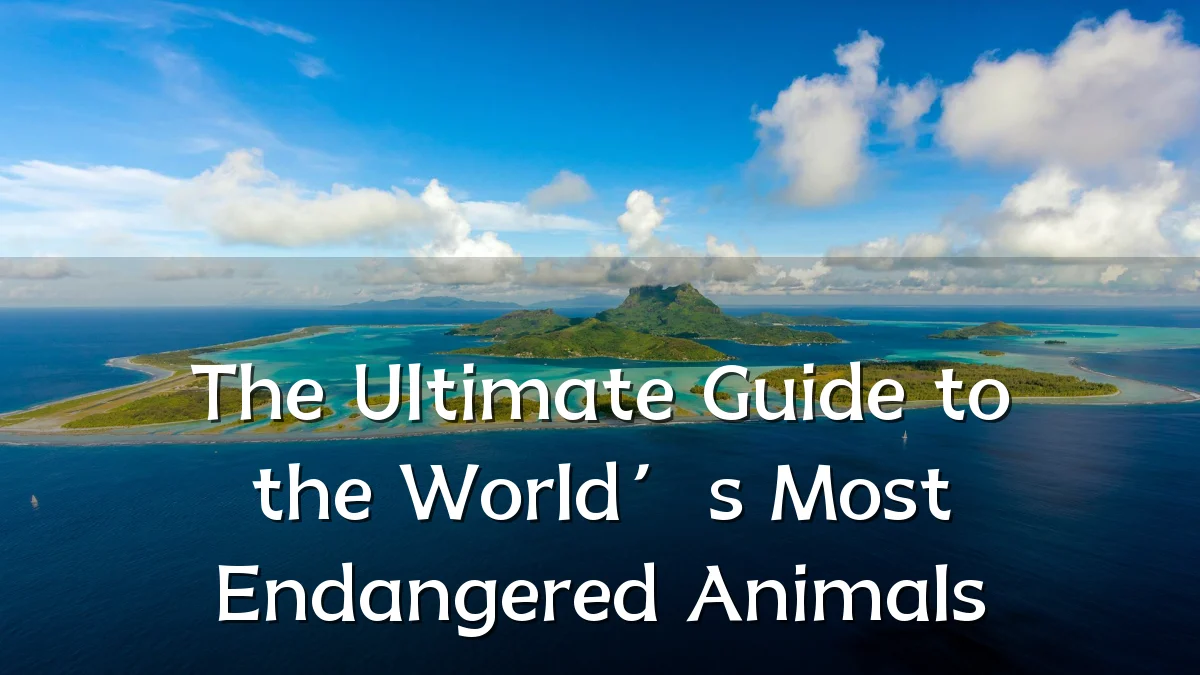 The Ultimate Guide to the World’s Most Endangered Animals