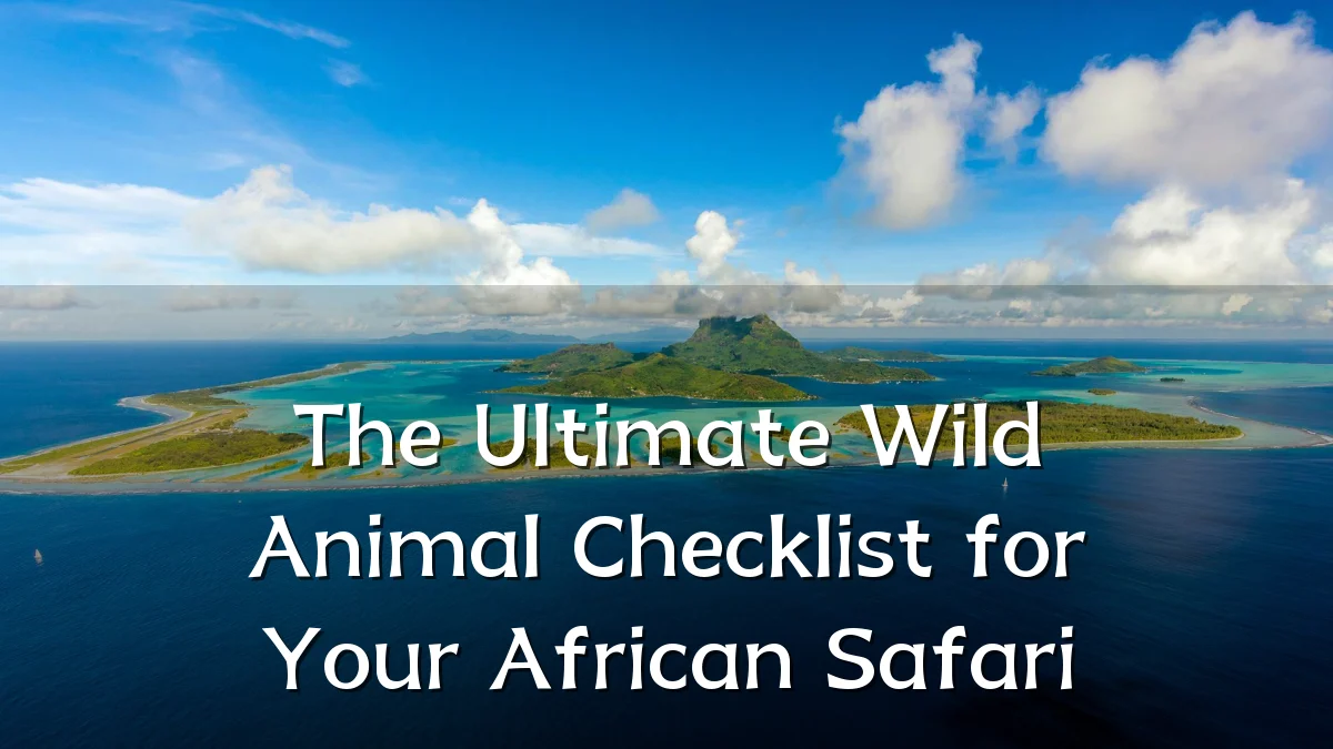 The Ultimate Wild Animal Checklist for Your African Safari