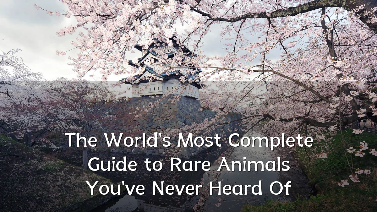 The World's Most Complete Guide to Rare Animals You've Never Heard Of