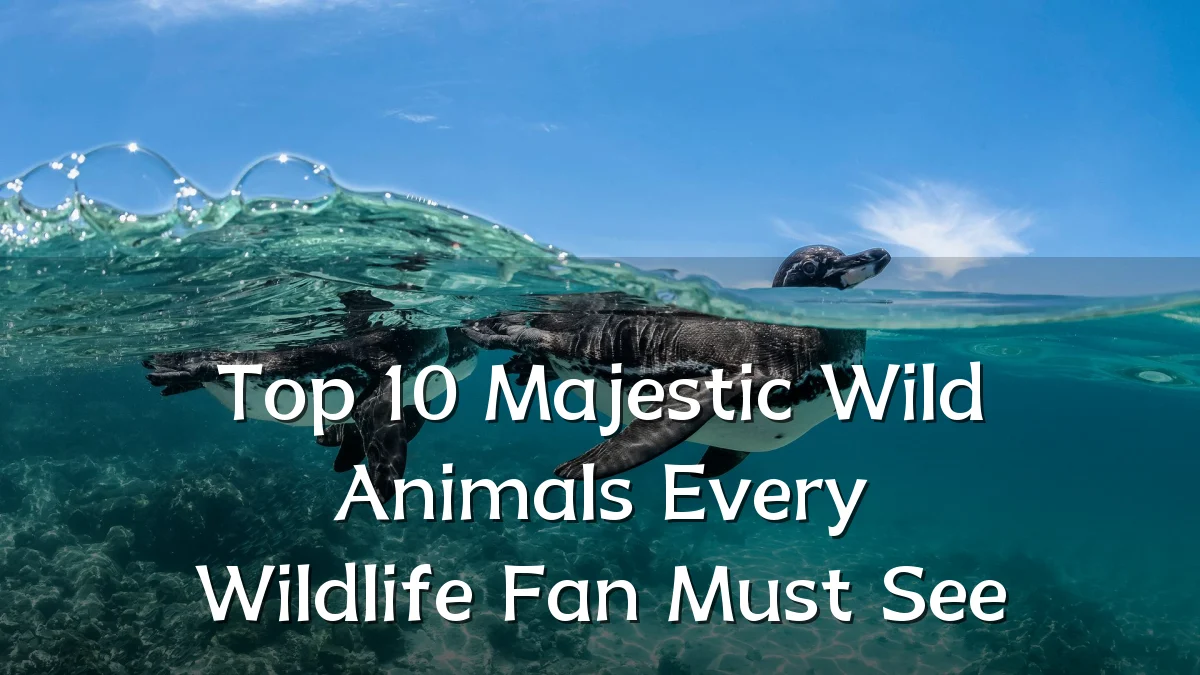 Top 10 Majestic Wild Animals Every Wildlife Fan Must See