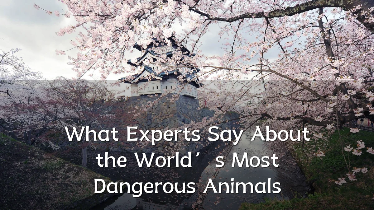 What Experts Say About the World’s Most Dangerous Animals