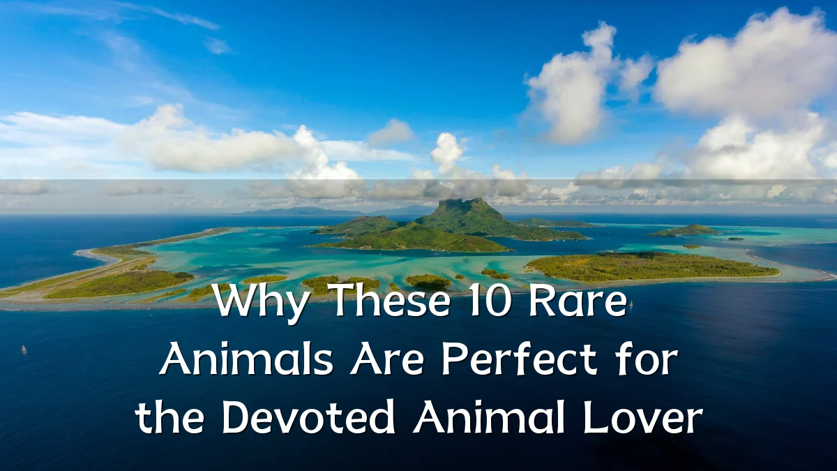 Why These 10 Rare Animals Are Perfect for the Devoted Animal Lover