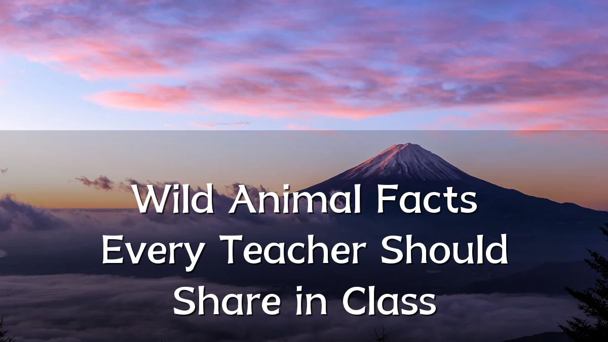 Wild Animal Facts Every Teacher Should Share in Class