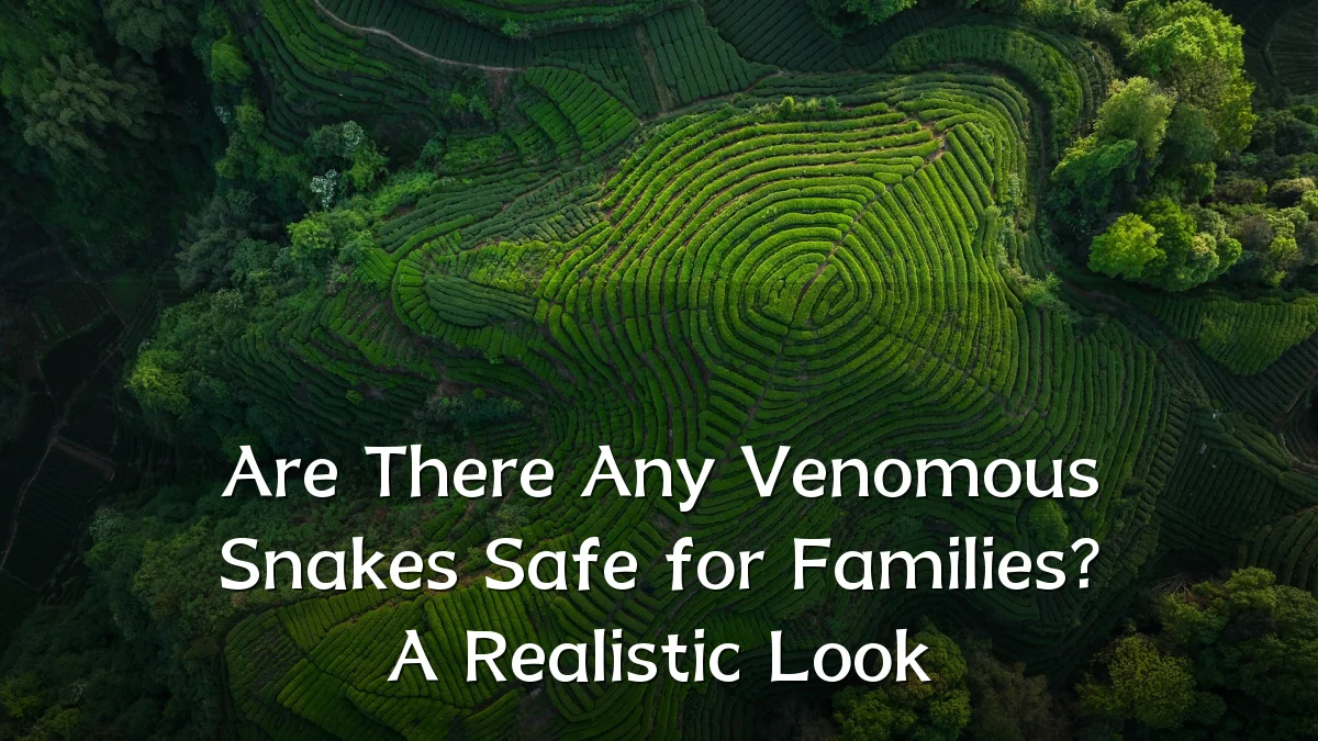 Are There Any Venomous Snakes Safe for Families? A Realistic Look