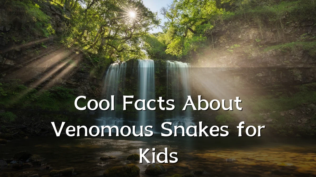 Cool Facts About Venomous Snakes for Kids